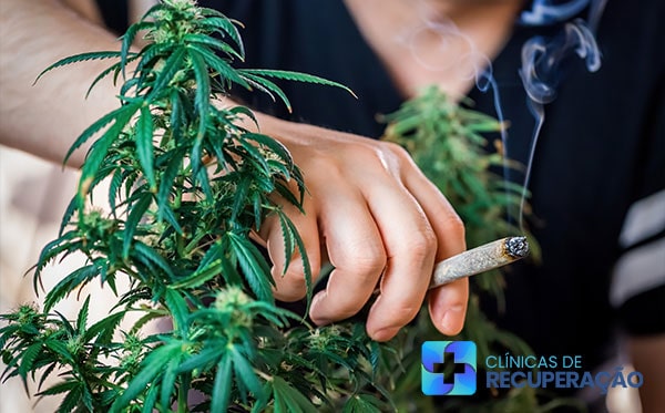Tratamento Dependente Maconha Dois Irmãos do Buriti - MS - Clínica de Reabilitação 